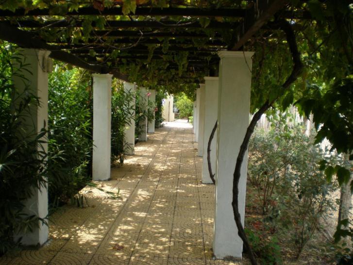 Socrates Studios Acharavi (Corfu) Exterior foto