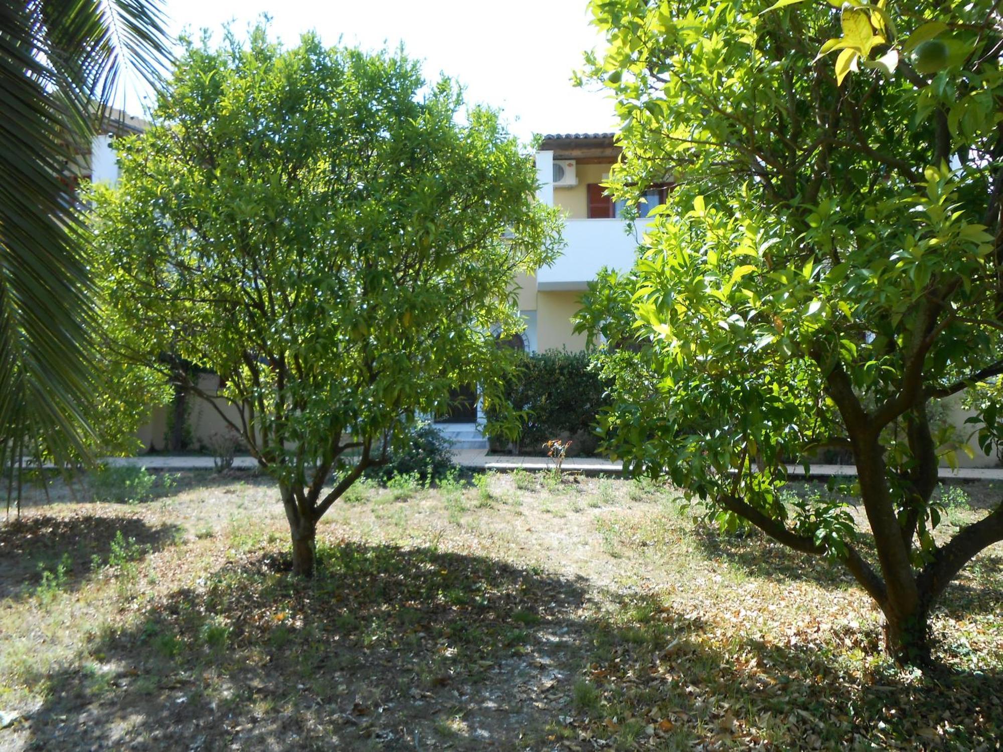 Socrates Studios Acharavi (Corfu) Exterior foto
